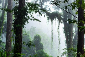 Literatura juvenil y romantasy en el mundo hispanohablante