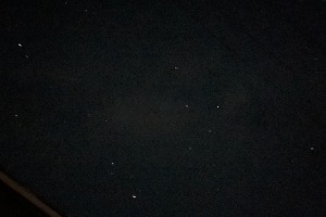 《自由：界限与飞翔之间》